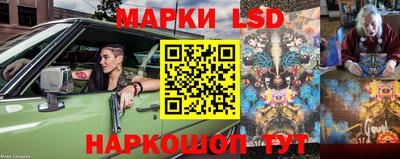 сатива Ставрополь