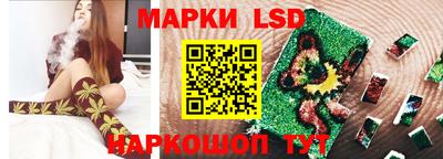 сатива Ставрополь
