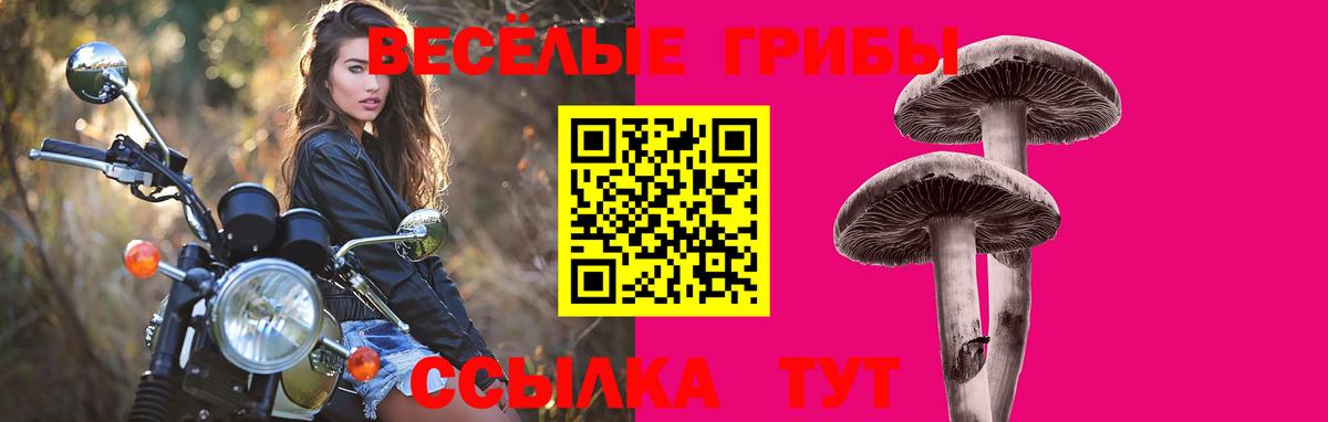 Новоалександровск  Галлюциногенные грибы ЛСД  Вход с VPN 